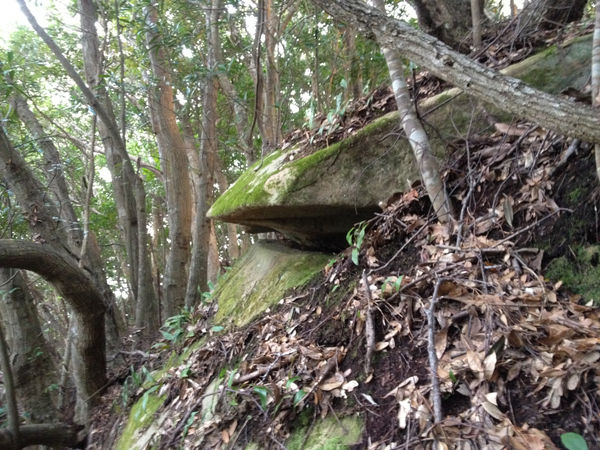 the Monk Rock