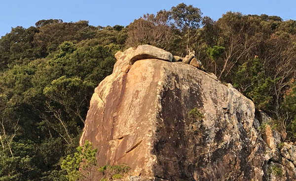 「壁の岩」最上部の御神石も笠形状